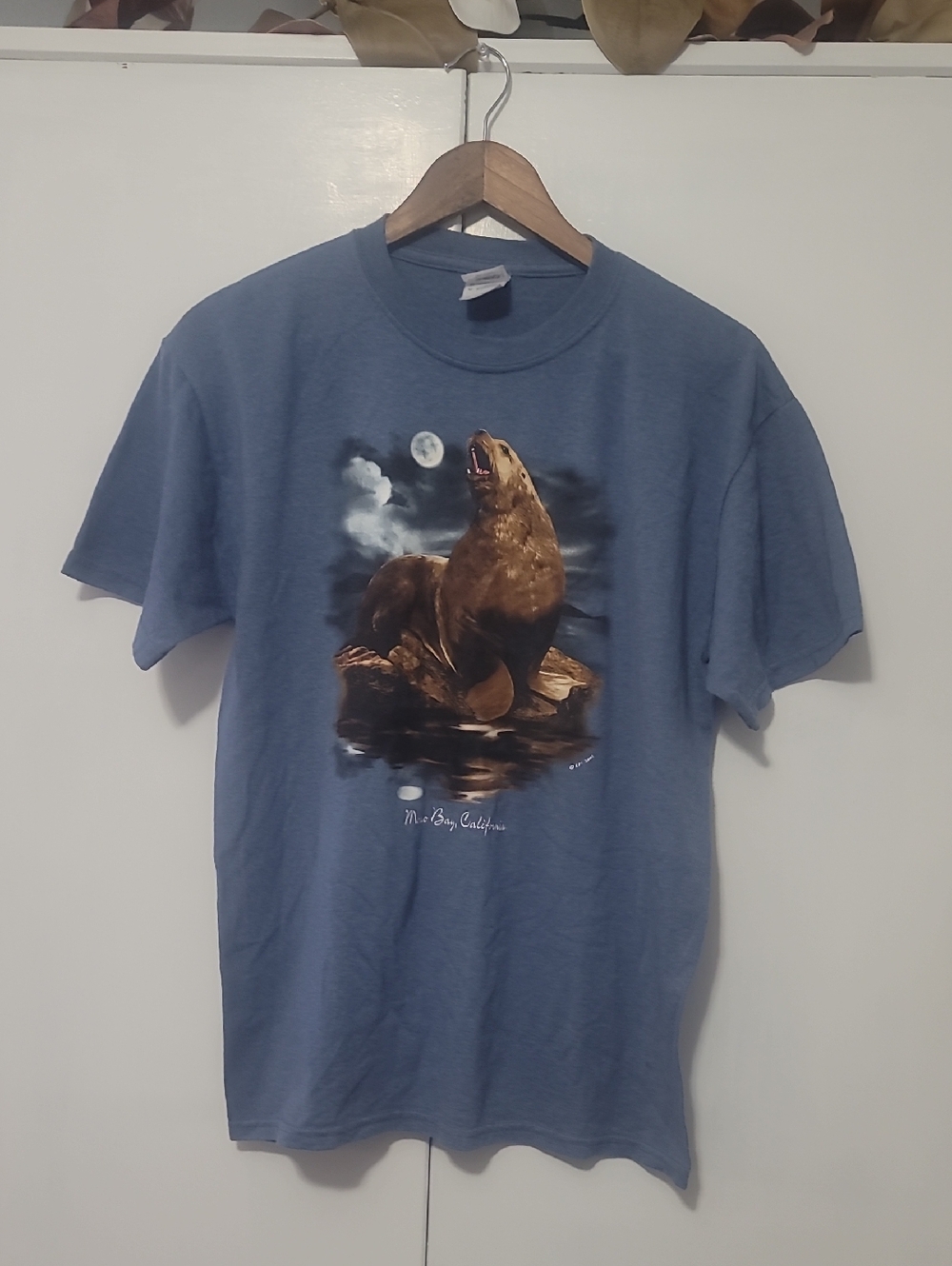 Sea Lion Graphic Crewneck T-Shirt - Blue Morro Bay California